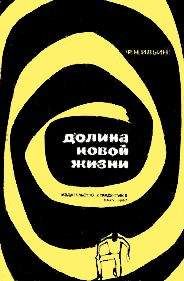 Читайте книги онлайн на Bookidrom.ru! Бесплатные книги в одном клике Федор Ильин - Долина Новой жизни