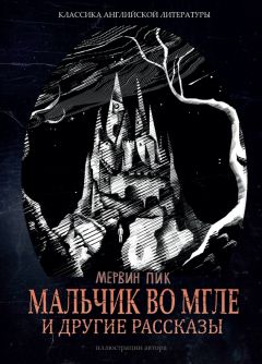 Читайте книги онлайн на Bookidrom.ru! Бесплатные книги в одном клике Мервин Пик - Мальчик во мгле и другие рассказы (сборник)