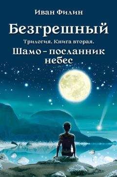 Читайте книги онлайн на Bookidrom.ru! Бесплатные книги в одном клике Иван Филин - Шамо – посланник небес