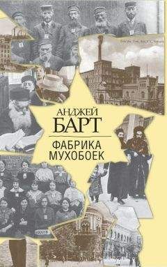 Читайте книги онлайн на Bookidrom.ru! Бесплатные книги в одном клике Анджей Барт - Фабрика мухобоек