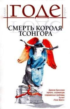Читайте книги онлайн на Bookidrom.ru! Бесплатные книги в одном клике Лоран Годе - Смерть короля Тсонгора