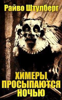 Читайте книги онлайн на Bookidrom.ru! Бесплатные книги в одном клике Райво Штулберг - Химеры просыпаются ночью