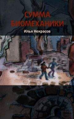 Читайте книги онлайн на Bookidrom.ru! Бесплатные книги в одном клике Илья Некрасов - Сумма биомеханики
