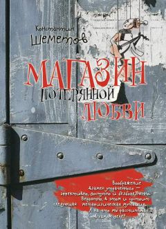 Читайте книги онлайн на Bookidrom.ru! Бесплатные книги в одном клике Константин Шеметов - Магазин потерянной любви