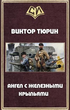 Читайте книги онлайн на Bookidrom.ru! Бесплатные книги в одном клике Виктор Тюрин - Ангел с железными крыльями