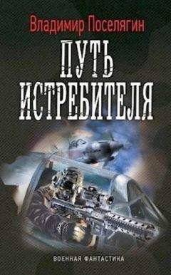 Читайте книги онлайн на Bookidrom.ru! Бесплатные книги в одном клике Владимир Поселягин - Путь истребителя