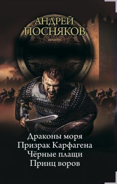 Читайте книги онлайн на Bookidrom.ru! Бесплатные книги в одном клике Андрей Посняков - Вандал (сборник)