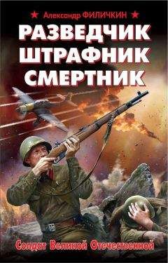 Читайте книги онлайн на Bookidrom.ru! Бесплатные книги в одном клике Александр Филичкин - Разведчик, штрафник, смертник. Солдат Великой Отечественной
