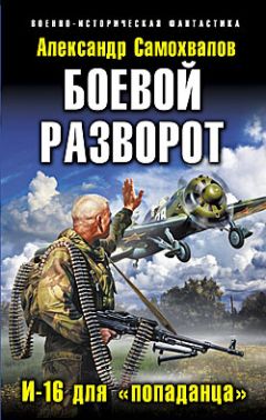 Читайте книги онлайн на Bookidrom.ru! Бесплатные книги в одном клике Александр Самохвалов - Боевой разворот. И-16 для «попаданца»