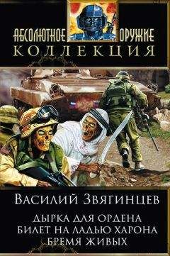 Читайте книги онлайн на Bookidrom.ru! Бесплатные книги в одном клике Василий Звягинцев - Дырка для ордена; Билет на ладью Харона; Бремя живых