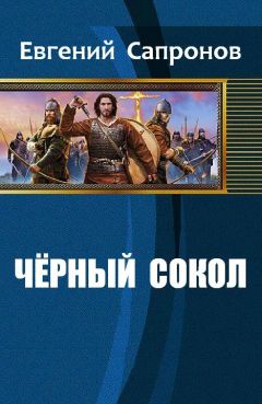 Читайте книги онлайн на Bookidrom.ru! Бесплатные книги в одном клике Евгений Сапронов - Чёрный сокол