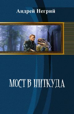 Читайте книги онлайн на Bookidrom.ru! Бесплатные книги в одном клике Андрей Негрий - Мост в Ниткуда