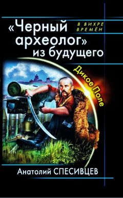 Анатолий Спесивцев - Черный археолог из будущего. Дикое Поле