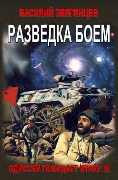 Читайте книги онлайн на Bookidrom.ru! Бесплатные книги в одном клике Василий Звягинцев - Разведка боем