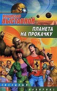 Читайте книги онлайн на Bookidrom.ru! Бесплатные книги в одном клике Владислав Выставной - Планета на прокачку