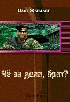 Читайте книги онлайн на Bookidrom.ru! Бесплатные книги в одном клике Олег Жмылёв - Чё за дела, брат?