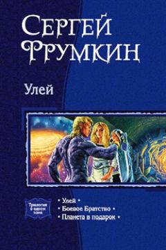 Читайте книги онлайн на Bookidrom.ru! Бесплатные книги в одном клике Сергей Фрумкин - Улей