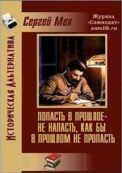 Читайте книги онлайн на Bookidrom.ru! Бесплатные книги в одном клике Сергей Мех - Попасть в прошлое - не напасть, как бы в прошлом не пропасть!