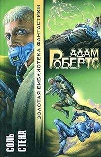 Читайте книги онлайн на Bookidrom.ru! Бесплатные книги в одном клике Адам Робертс - Стена