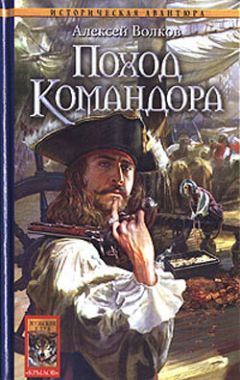 Читайте книги онлайн на Bookidrom.ru! Бесплатные книги в одном клике Алексей Волков - Поход Командора