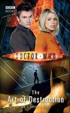 Читайте книги онлайн на Bookidrom.ru! Бесплатные книги в одном клике Стивен Коул - Искусство разрушения