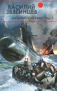 Читайте книги онлайн на Bookidrom.ru! Бесплатные книги в одном клике Василий Звягинцев - Мальтийский крест. Том 2. Черная метка