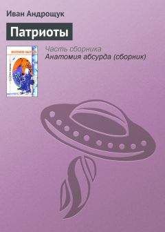 Читайте книги онлайн на Bookidrom.ru! Бесплатные книги в одном клике Иван Андрощук - Патриоты