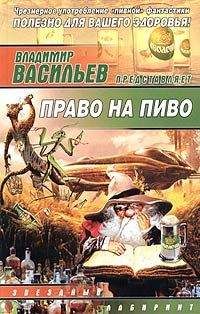 Читайте книги онлайн на Bookidrom.ru! Бесплатные книги в одном клике Сергей Слюсаренко - Взлететь на рассвете