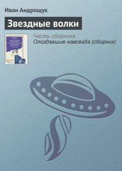 Читайте книги онлайн на Bookidrom.ru! Бесплатные книги в одном клике Иван Андрощук - Звездные волки