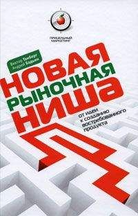 Читайте книги онлайн на Bookidrom.ru! Бесплатные книги в одном клике Андрей Бадьин - Новая рыночная ниша. От идеи к созданию нового востребованного продукта