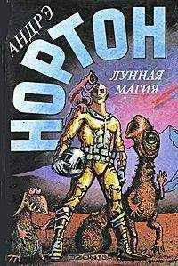 Читайте книги онлайн на Bookidrom.ru! Бесплатные книги в одном клике Андрэ Нортон - Полет на Йиктор. Отважиться пойти на охоту