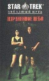 Читайте книги онлайн на Bookidrom.ru! Бесплатные книги в одном клике Диана Дуэйн - Израненное небо