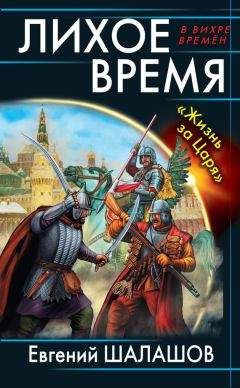 Читайте книги онлайн на Bookidrom.ru! Бесплатные книги в одном клике Евгений Шалашов - Лихое время. «Жизнь за Царя»