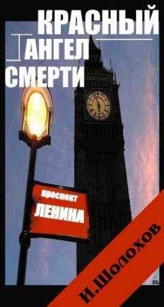 Читайте книги онлайн на Bookidrom.ru! Бесплатные книги в одном клике Игорь Шолохов - КРАСНЫЙ АНГЕЛ СМЕРТИ