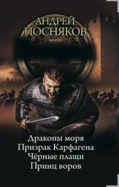 Читайте книги онлайн на Bookidrom.ru! Бесплатные книги в одном клике Андрей Посняков - Принц воров