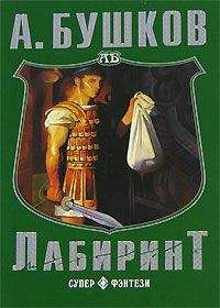 Читайте книги онлайн на Bookidrom.ru! Бесплатные книги в одном клике Александр Бушков - Лабиринт