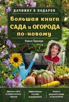 Читайте книги онлайн на Bookidrom.ru! Бесплатные книги в одном клике Павел Траннуа - Большая книга сада и огорода по-новому