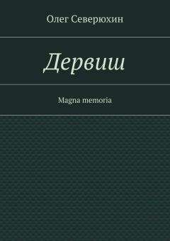 Читайте книги онлайн на Bookidrom.ru! Бесплатные книги в одном клике Олег Северюхин - Дервиш