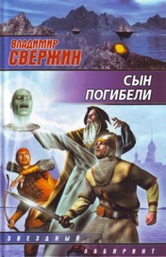 Читайте книги онлайн на Bookidrom.ru! Бесплатные книги в одном клике Владимир Свержин - Сын погибели