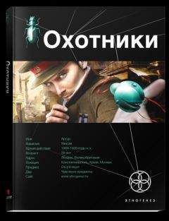 Читайте книги онлайн на Bookidrom.ru! Бесплатные книги в одном клике Лариса Бортникова - Охотники. Погоня за жужелицей