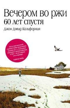Читайте книги онлайн на Bookidrom.ru! Бесплатные книги в одном клике Джон Дэвид Калифорния - Вечером во ржи: 60 лет спустя