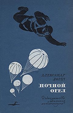 Читайте книги онлайн на Bookidrom.ru! Бесплатные книги в одном клике Александр Ломм - Ночной Орел