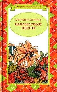 Читайте книги онлайн на Bookidrom.ru! Бесплатные книги в одном клике Андрей Платонов - Волшебное кольцо