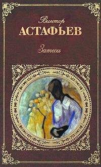 Читайте книги онлайн на Bookidrom.ru! Бесплатные книги в одном клике Виктор Астафьев - Затеси