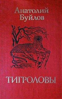 Читайте книги онлайн на Bookidrom.ru! Бесплатные книги в одном клике Анатолий Буйлов - Тигроловы