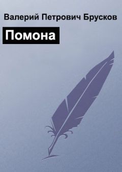 Читайте книги онлайн на Bookidrom.ru! Бесплатные книги в одном клике Валерий Брусков - Помона
