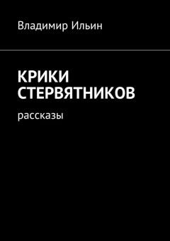 Читайте книги онлайн на Bookidrom.ru! Бесплатные книги в одном клике Владимир Ильин - Крики стервятников. Рассказы