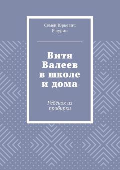 Читайте книги онлайн на Bookidrom.ru! Бесплатные книги в одном клике Семён Ешурин - Витя Валеев в школе и дома. Ребёнок из пробирки