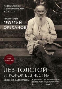 Читайте книги онлайн на Bookidrom.ru! Бесплатные книги в одном клике Протоиерей Георгий Ореханов - Лев Толстой. «Пророк без чести»: хроника катастрофы