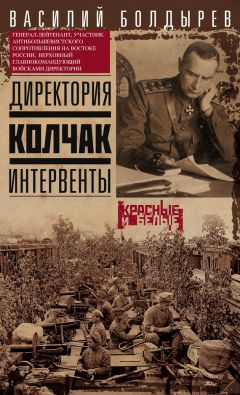 Читайте книги онлайн на Bookidrom.ru! Бесплатные книги в одном клике Василий Болдырев - Директория. Колчак. Интервенты